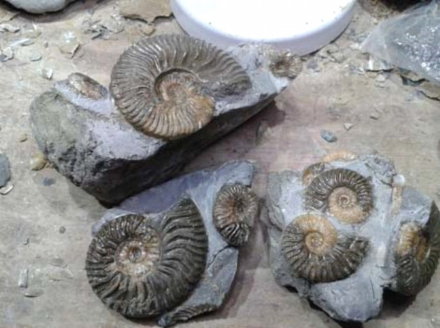 Küçük kız oyuncak sandı, bakın ne çıktı! - Sayfa 14