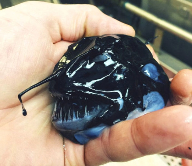 Gözleri, görenleri dehşete düşürdü! - Sayfa 10