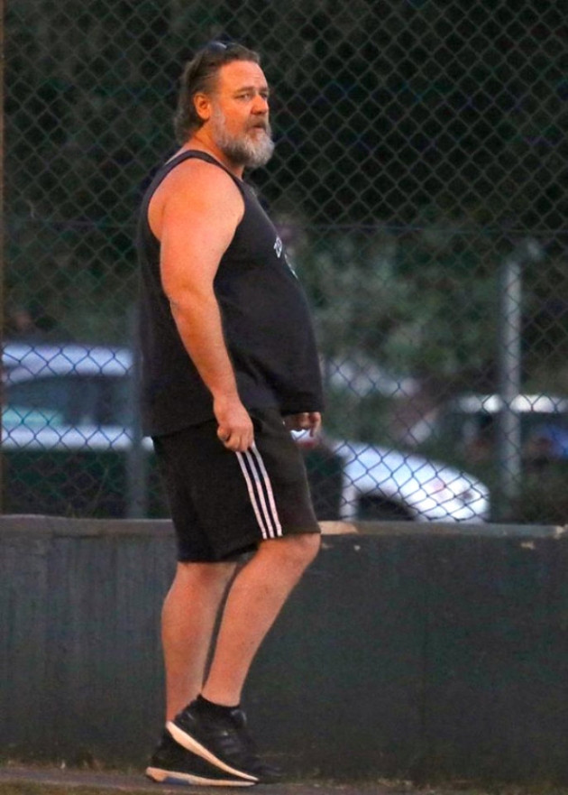 Russell Crowe'un son hali görenleri şaşırttı! - Sayfa 5